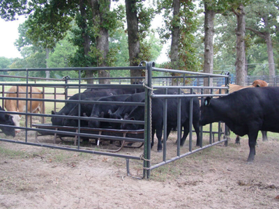 Priefert Manufacturing