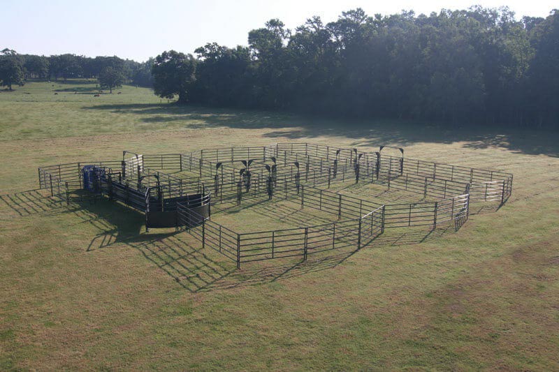 Priefert Small Cattle Working Systems 