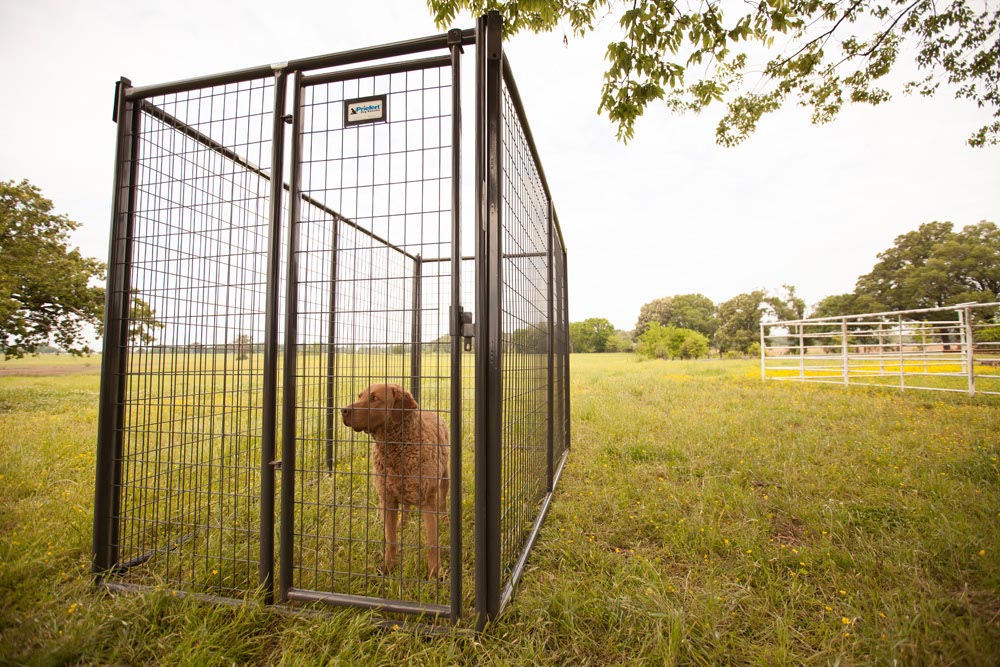 Priefert panels outlet kennel