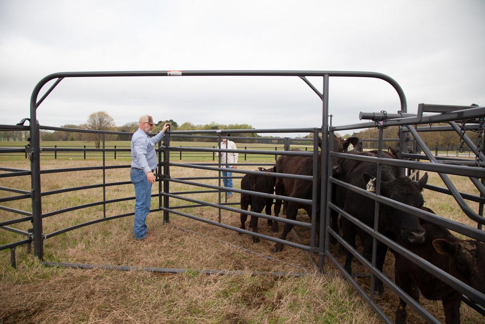 Priefert Small Cattle Working Systems 