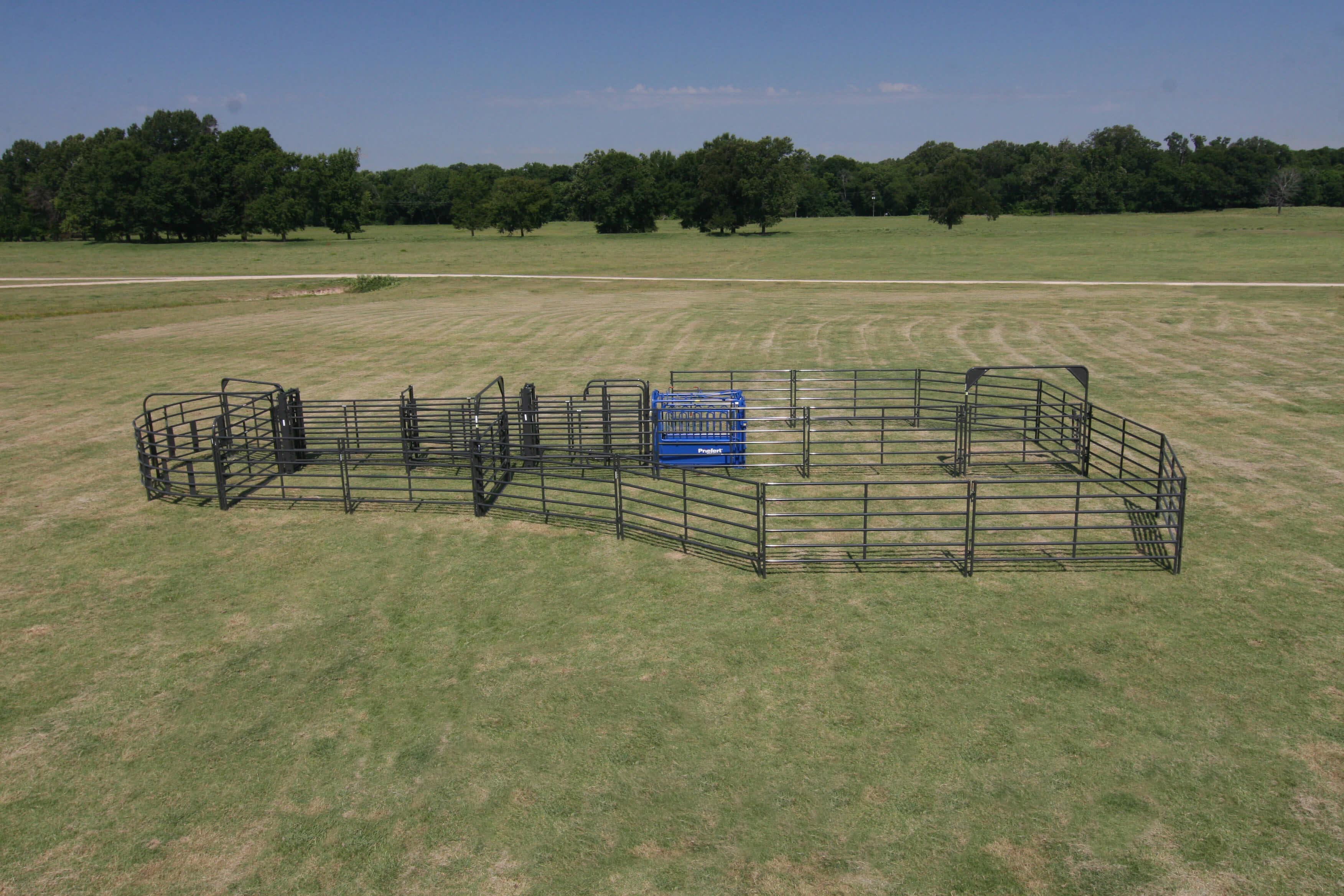 Priefert Small Cattle Working Systems 